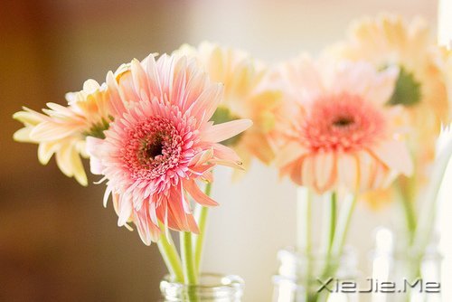 愿在我最美的时光,遇见最美好的你 (1)