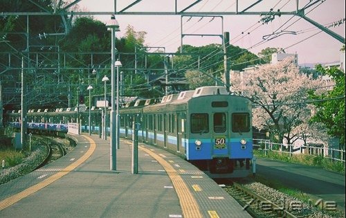 晚安心语:你看到什么样的世界,你就拥有什么样的内心 (7)