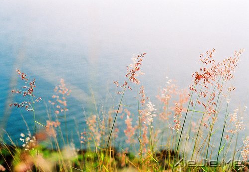 今天你所受的伤,只会让你明天更坚强 (9)