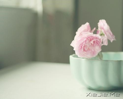 经过人生的荒凉,才能抵达内心的繁华 (8)