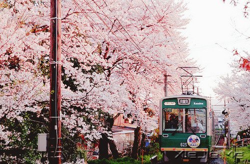 常常观自心,便会更智慧 (2)